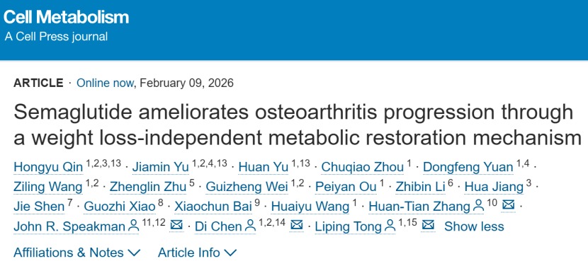 Cell Metabolism|“减肥神药”也能治疗骨关节炎?beat365手机版官网团队联合揭示关键机制
