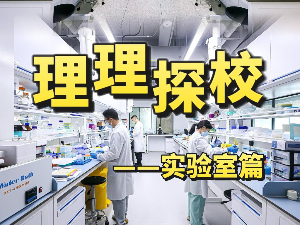 理理探校 | 实验室开箱:在试错与突破中触摸学术新可能