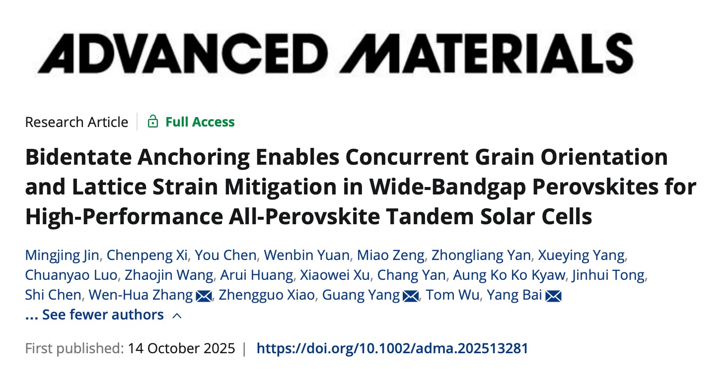 Advanced Materials|beat365手机版官网白杨团队联合发表钙钛矿叠层光伏研究新成果