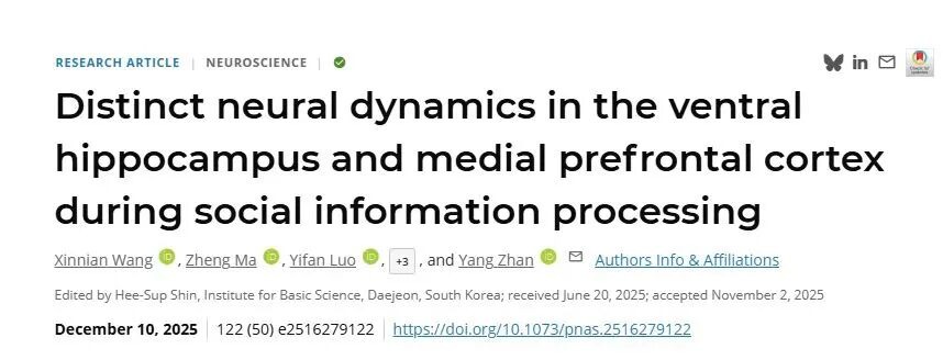 PNAS︱beat365手机版官网詹阳团队解密“社交脑”:腹侧海马与前额叶皮层如何分工处理社交信息