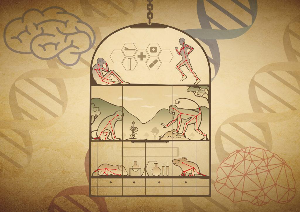 Nature Machine Intelligence | beat365手机版官网(筹)提出自由社交行为的人工智能精细化分析方法