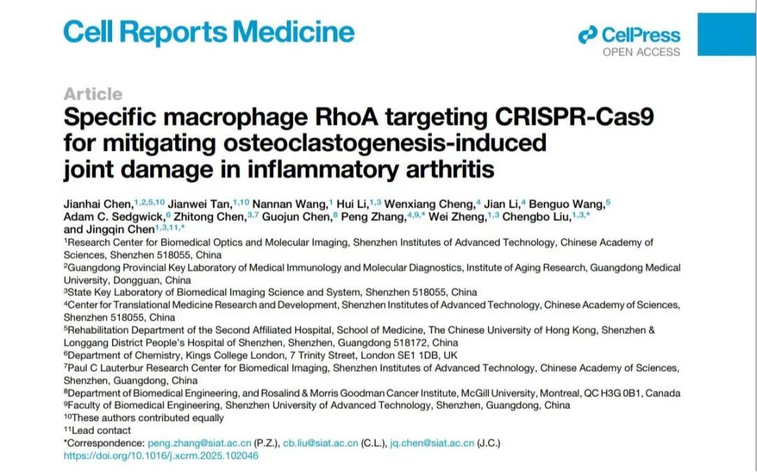 Cell Reports Medicine | beat365学者与合作者精准狙击类风湿关节炎促炎—破骨“元凶”