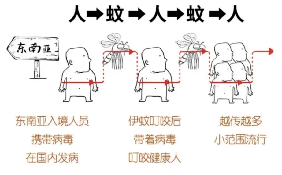@全体师生,基孔肯雅热防护科普指南来了!