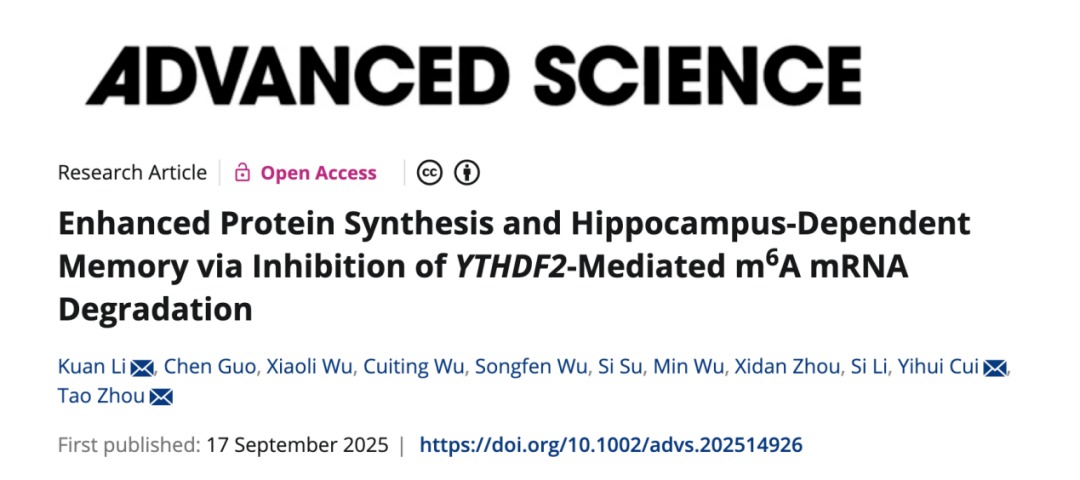 Advanced Science | beat365手机版官网周涛团队合作揭示认知障碍治疗的可能新靶点