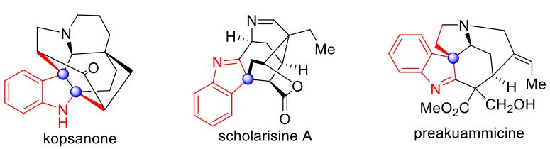 Angew. Chem. Int. Ed.|助力新药研发!深理工团队发现高效构筑手性吲哚啉化合物库新方法