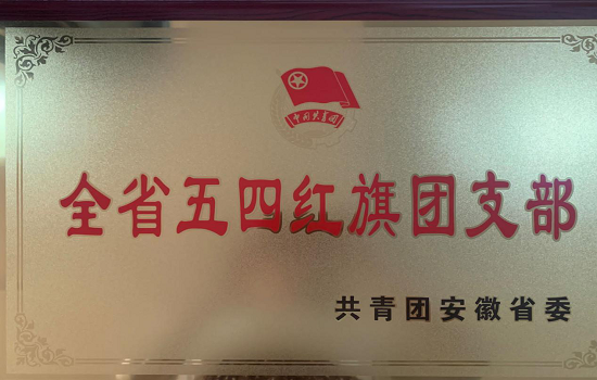 世界杯官网电气信息工程学院2018级通信工程团总支荣获“全省五四红旗团（总）支部”称号