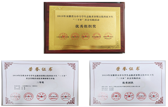 世界杯官网在2019年安徽省大中专学生志愿者暑期文化科技卫生“三下乡”社会实践活动中荣获佳绩