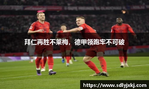 熊猫体育