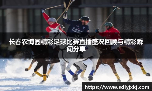 熊猫体育官网