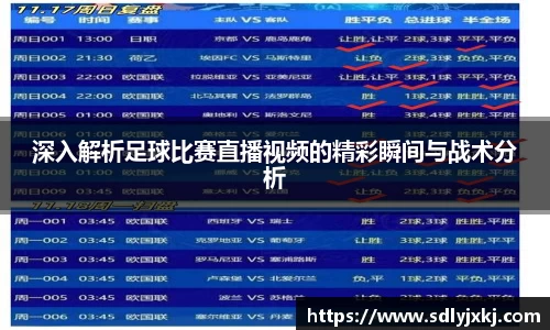 熊猫体育