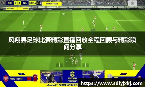 熊猫体育