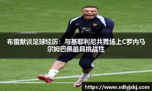 熊猫体育官网